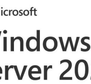 SW OEM WIN SVR 2025 STD 64B/ENG 1PK 16CR EP2-25187 MS