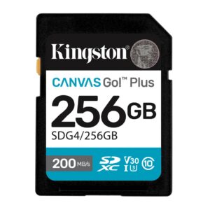 MEMORY SDXC 256GB UHS-I/SDG4/256GB KINGSTON