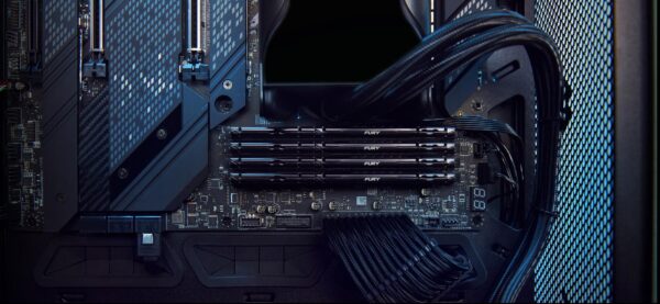 External HDD|LACIE|d2 Professional|8TB|USB 3.1|Drives 1|STHA8000800